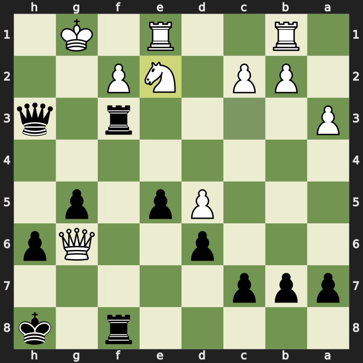 Position after 29. Ne2