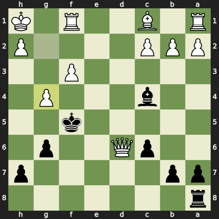 Final position after 24. g4#
